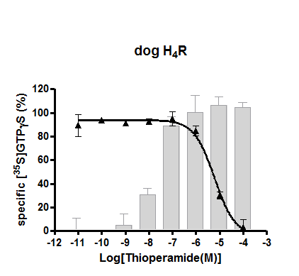 dog H4R functional